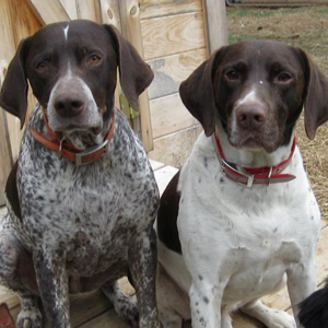 Catawba Valley Obedience Club, Hickory NC